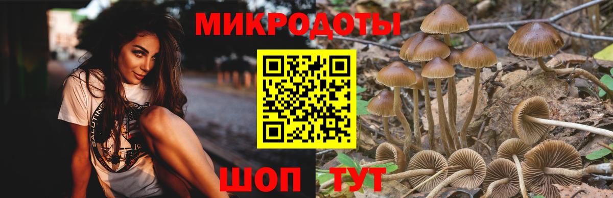 Галлюциногенные грибы ЛСД Губкин