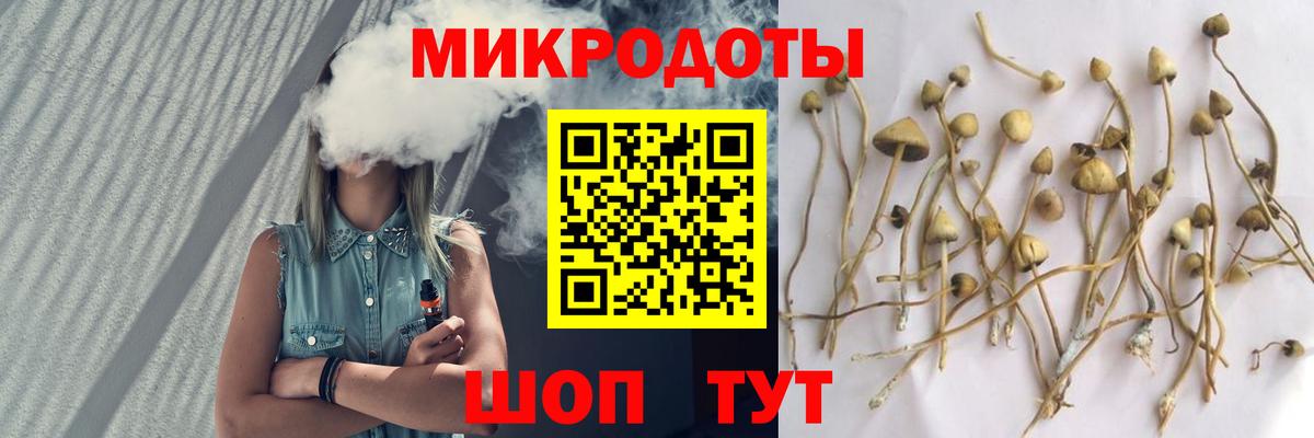 Галлюциногенные грибы GOLDEN TEACHER  Вход с VPN  Губкин 